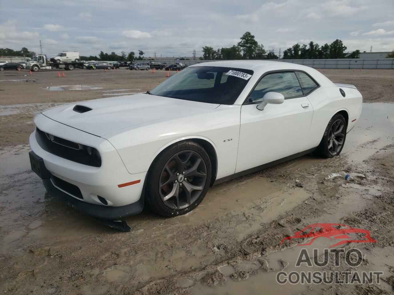 DODGE CHALLENGER 2019 - 2C3CDZBT5KH708440