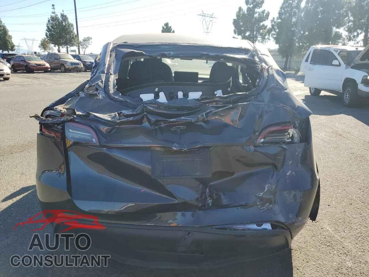 TESLA MODEL Y 2024 - 7SAYGDED0RF114308