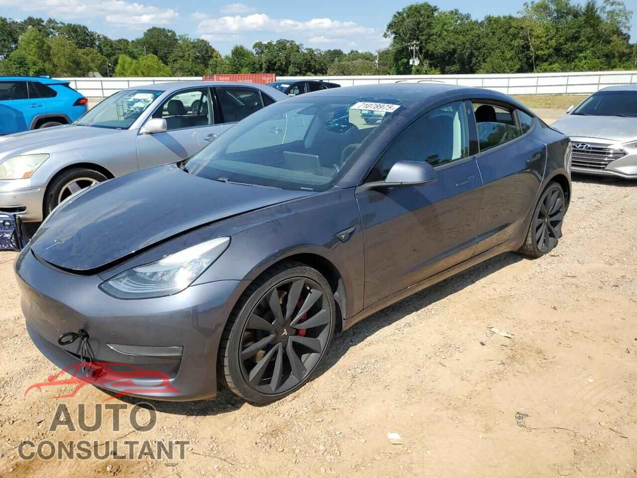 TESLA MODEL 3 2019 - 5YJ3E1EB7KF441319