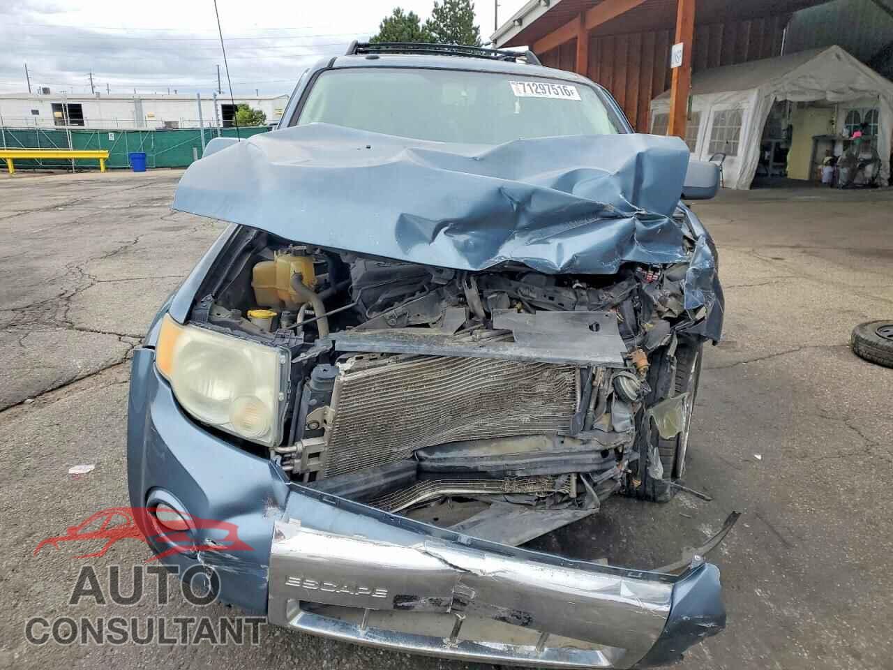 FORD ESCAPE 2010 - 1FMCU0EG9AKD33192