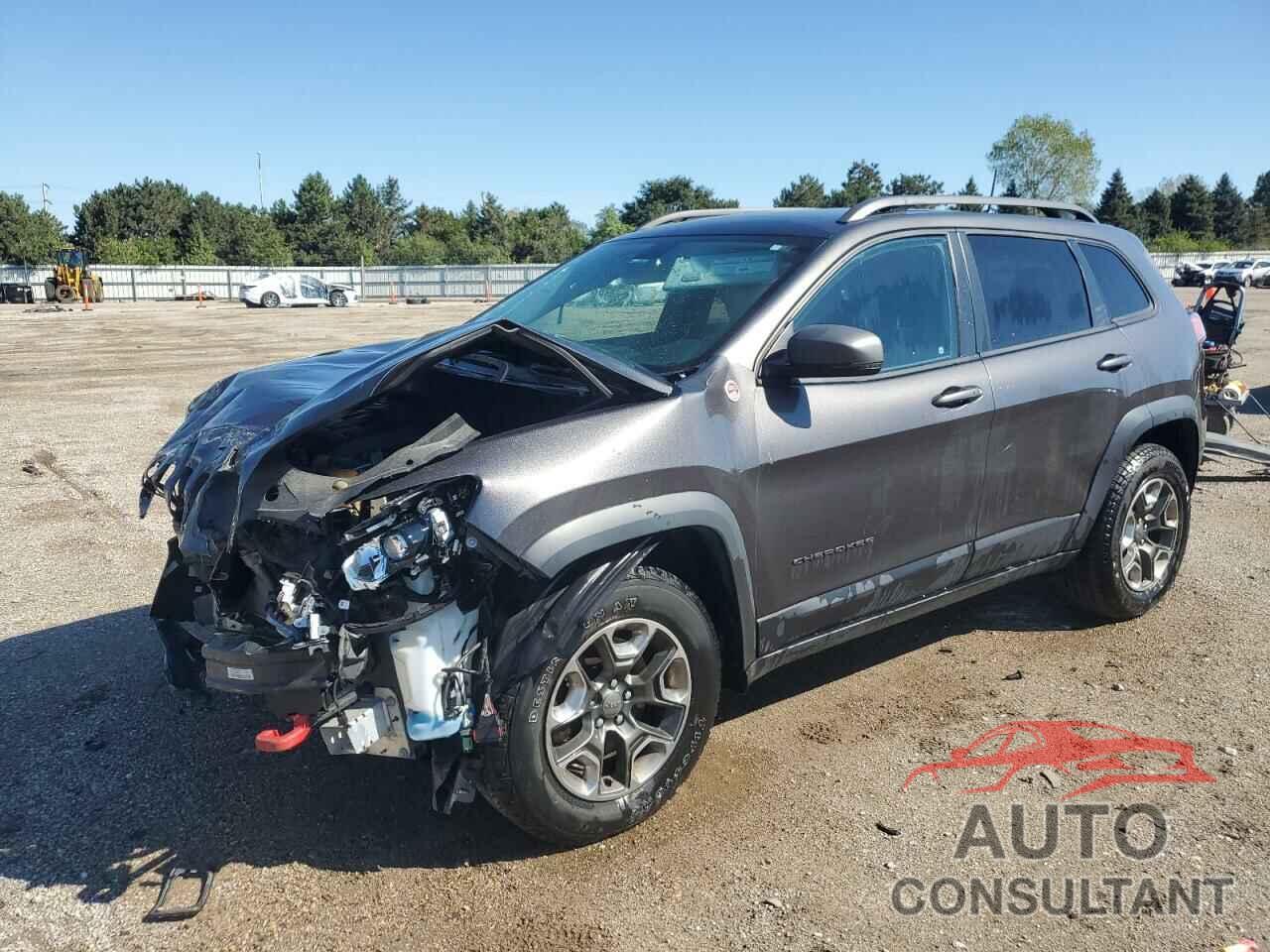 JEEP CHEROKEE 2019 - 1C4PJMBX1KD207294