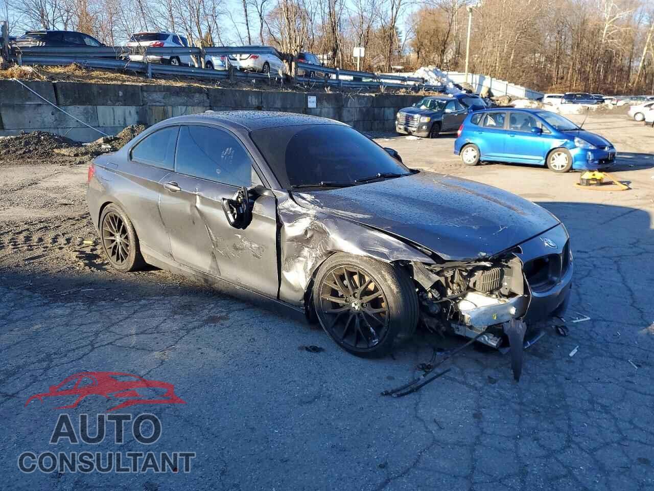 BMW 2 SERIES 2015 - WBA1G9C5XFVX96888