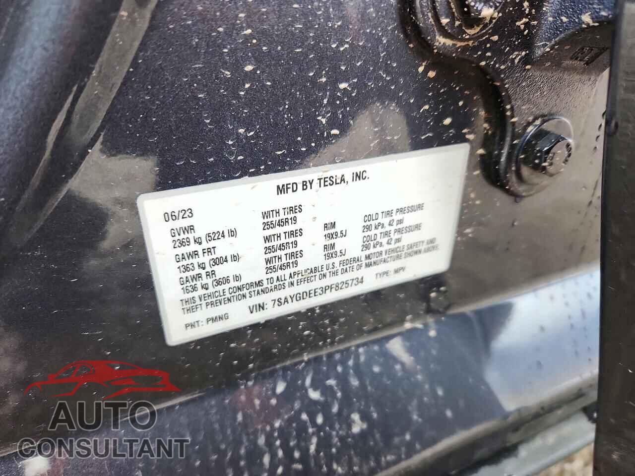 TESLA MODEL Y 2023 - 7SAYGDEE3PF825734