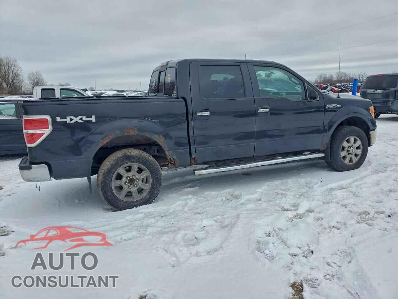 FORD F-150 2010 - 1FTFW1EV6AFB77248