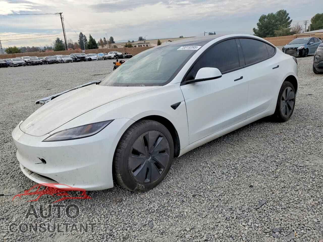 TESLA MODEL 3 2025 - 5YJ3E1EA7SF054678