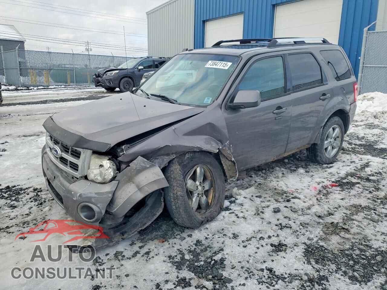 FORD ESCAPE 2011 - 1FMCU9EG5BKC44189