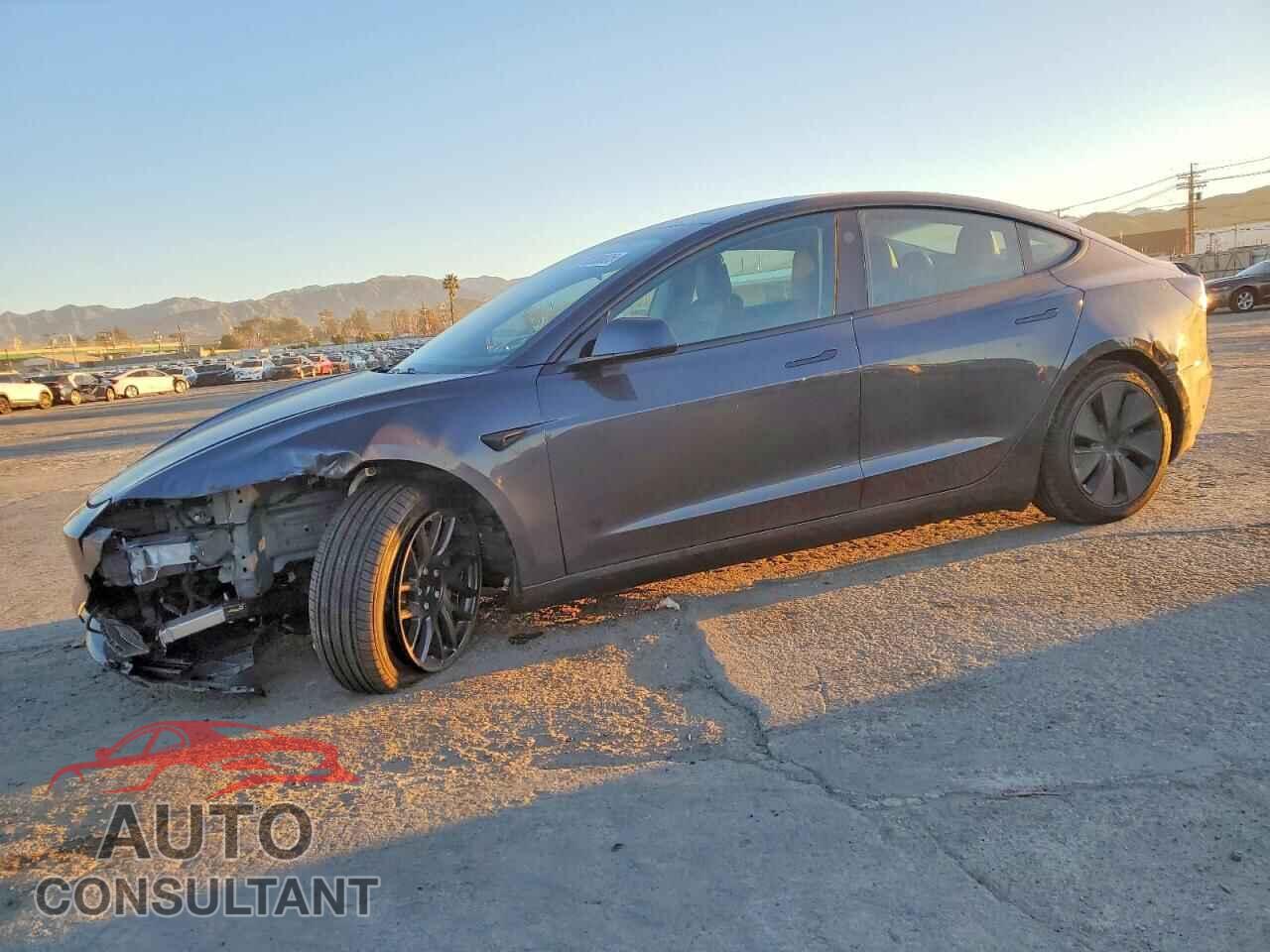 TESLA MODEL 3 2025 - 5YJ3E1EA2SF901381