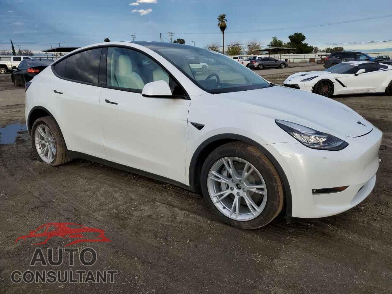 TESLA MODEL Y 2022 - 7SAYGDEEXNF425005