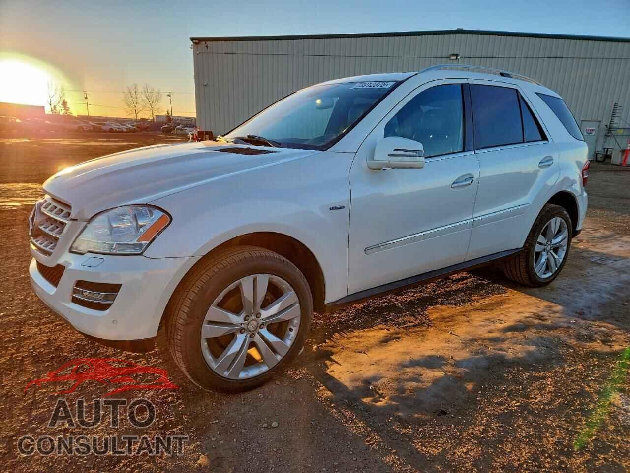 MERCEDES-BENZ M-CLASS 2011 - 4JGBB2FB1BA682175