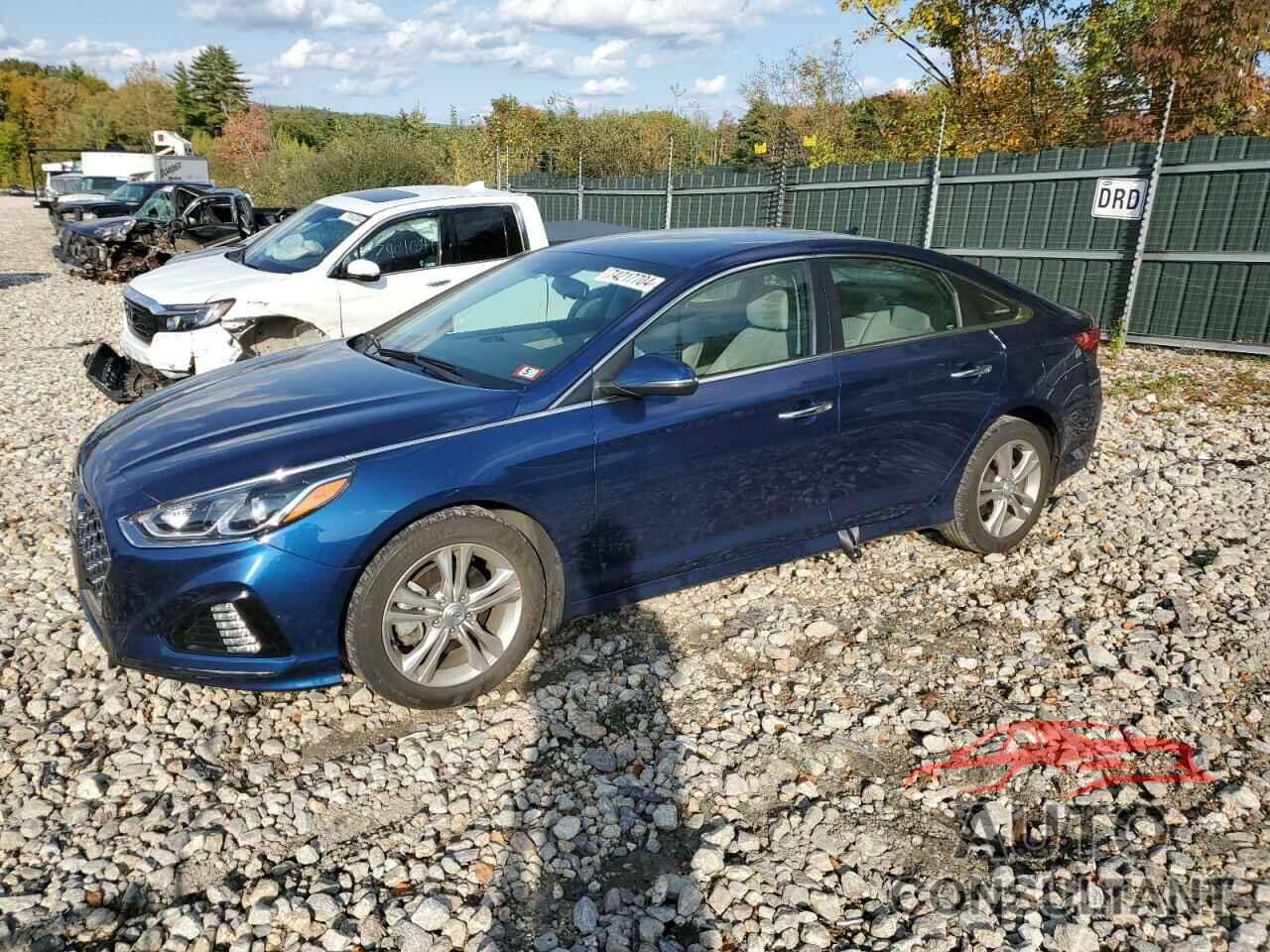 HYUNDAI SONATA 2019 - 5NPE34AF3KH809599