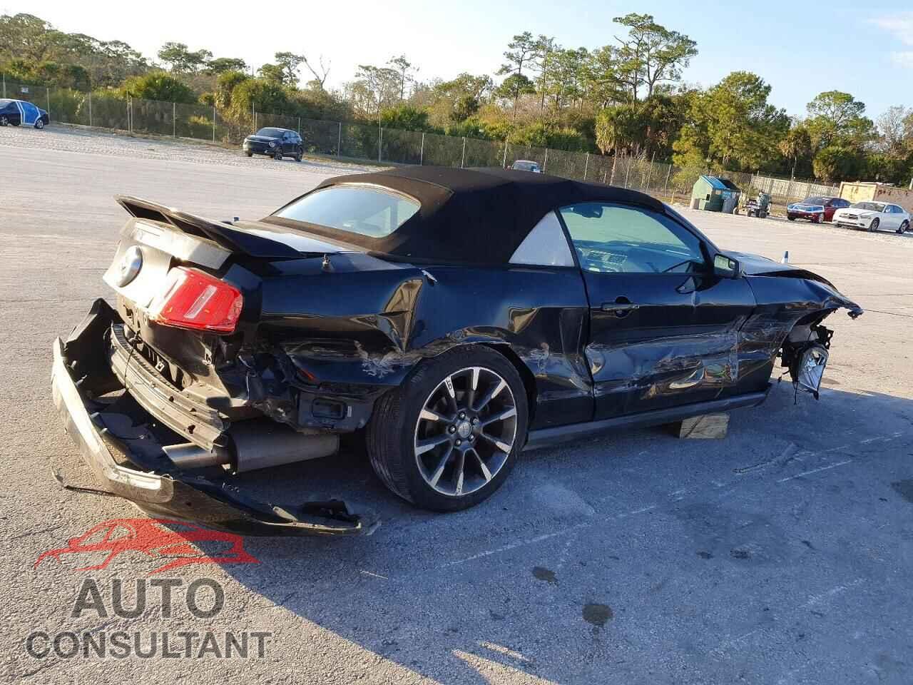 FORD MUSTANG 2011 - 1ZVBP8FF6B5155685