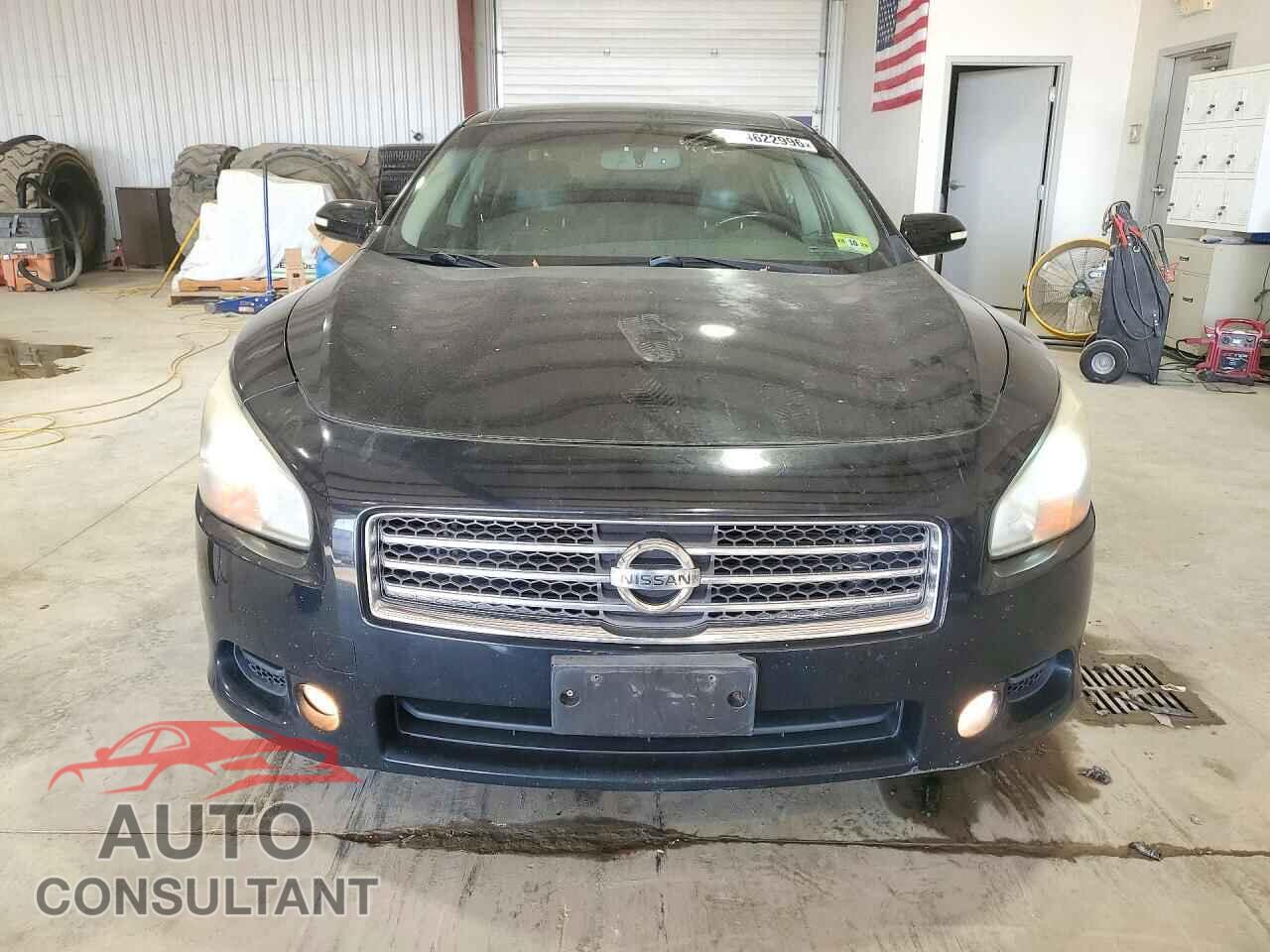 NISSAN MAXIMA 2009 - 1N4AA51E79C843106