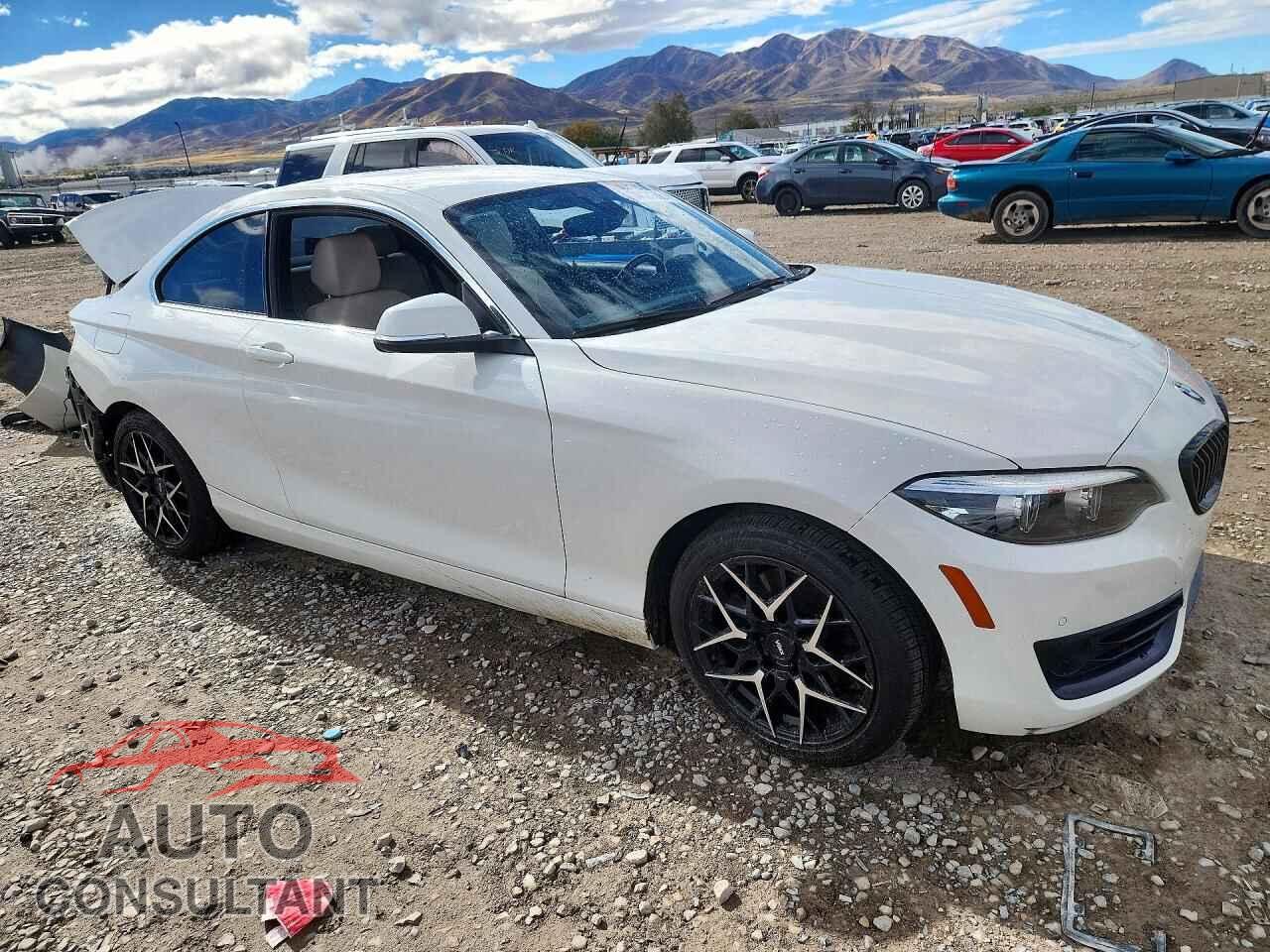 BMW 2 SERIES 2020 - WBA2J1C05L7E23305