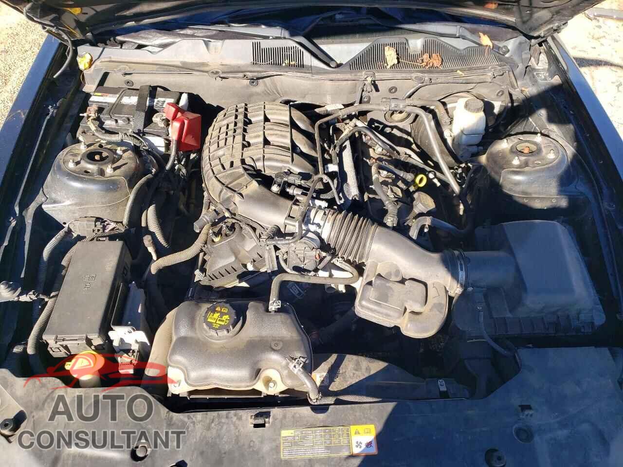 FORD MUSTANG 2012 - 1ZVBP8AM6C5254000