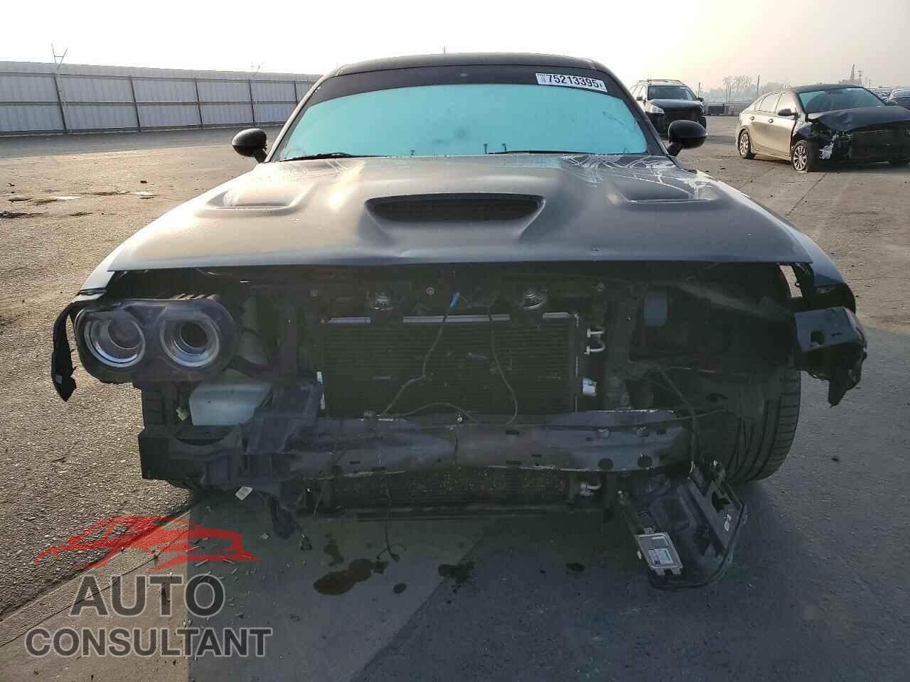 DODGE CHALLENGER 2019 - 2C3CDZBT9KH660523
