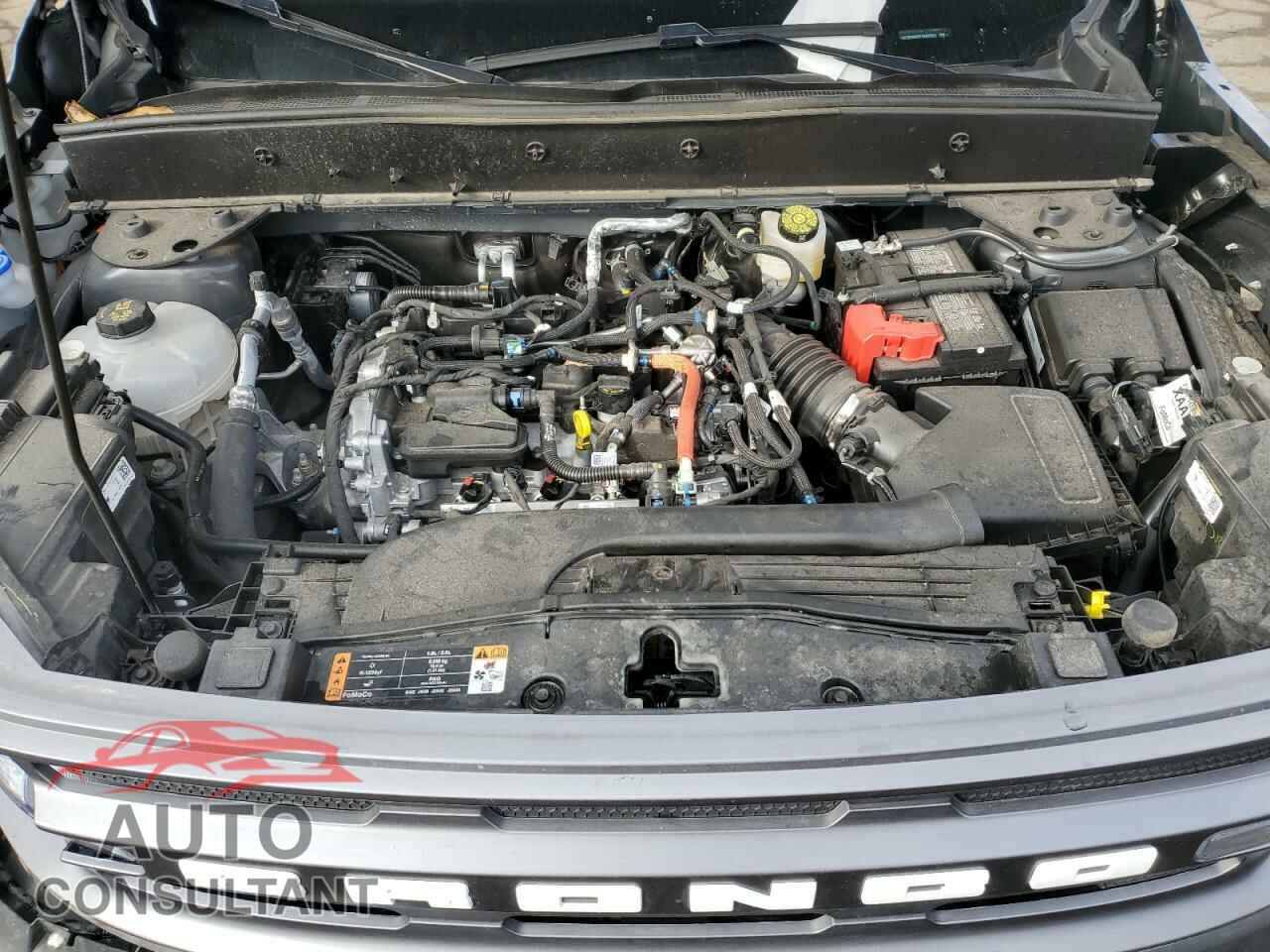 FORD BRONCO 2023 - 3FMCR9B62PRD02081