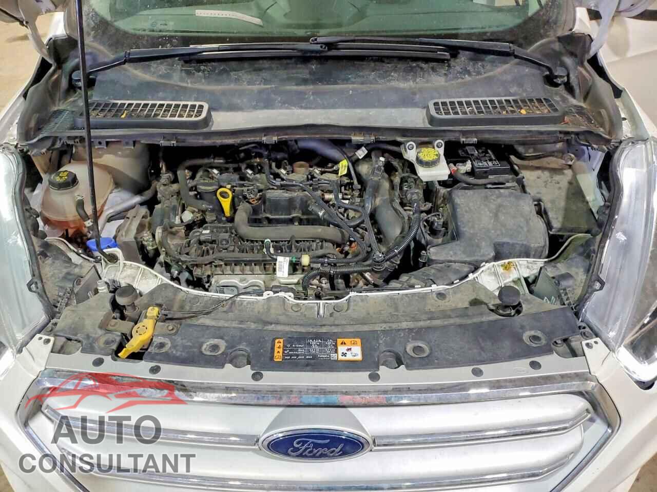 FORD ESCAPE 2019 - 1FMCU9HD2KUB77217