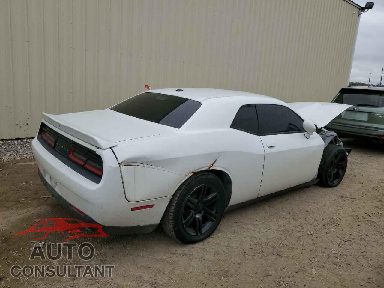 DODGE CHALLENGER 2019 - 2C3CDZBT5KH538922