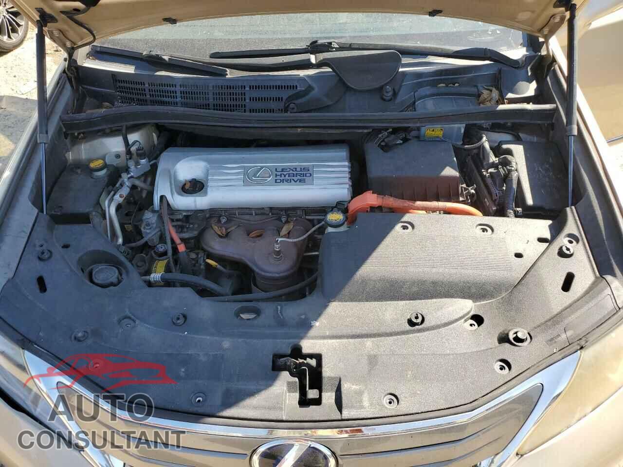 LEXUS HS 2010 - JTHBB1BA7A2017364