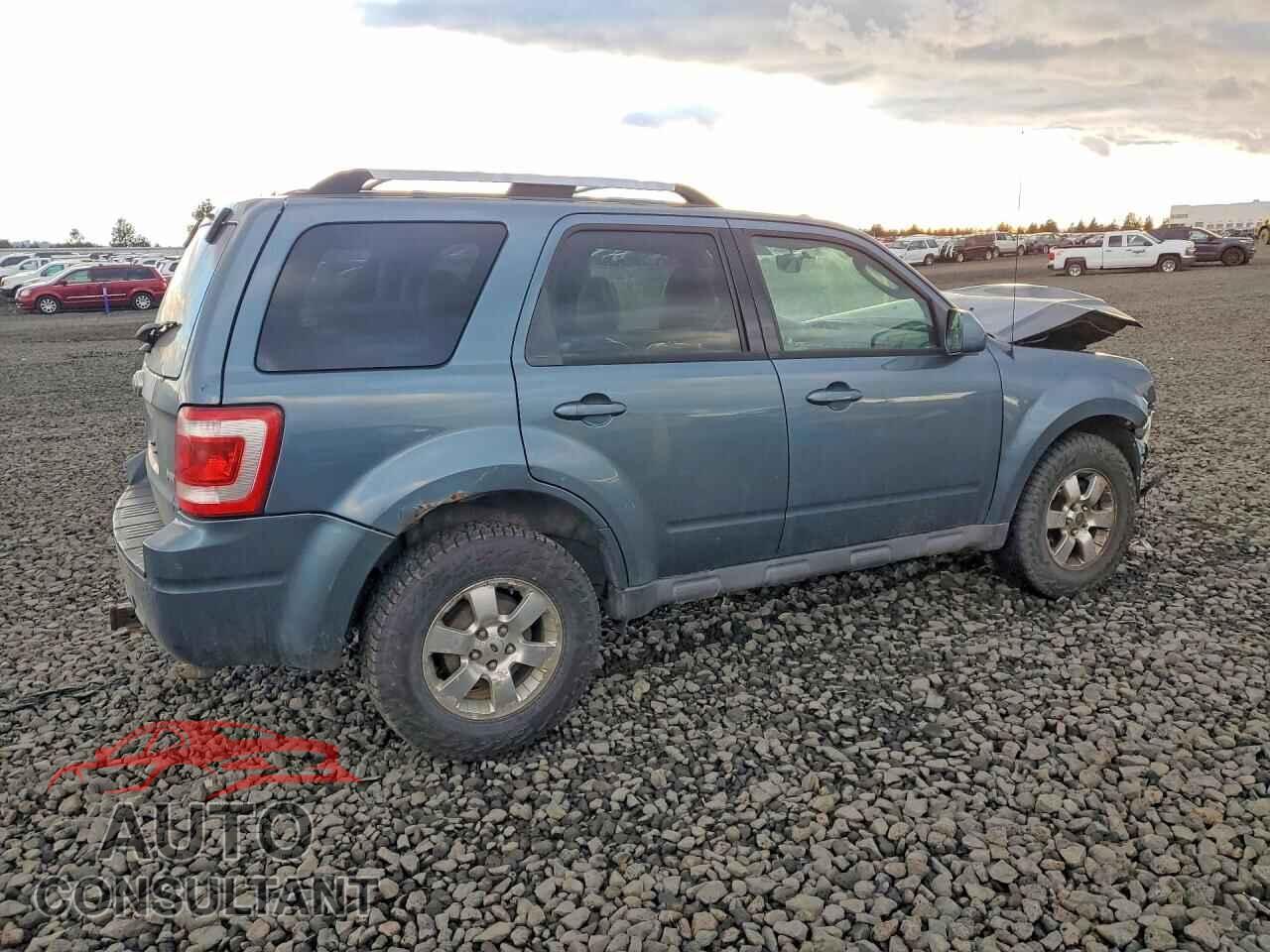 FORD ESCAPE 2011 - 1FMCU9EG1BKB26804