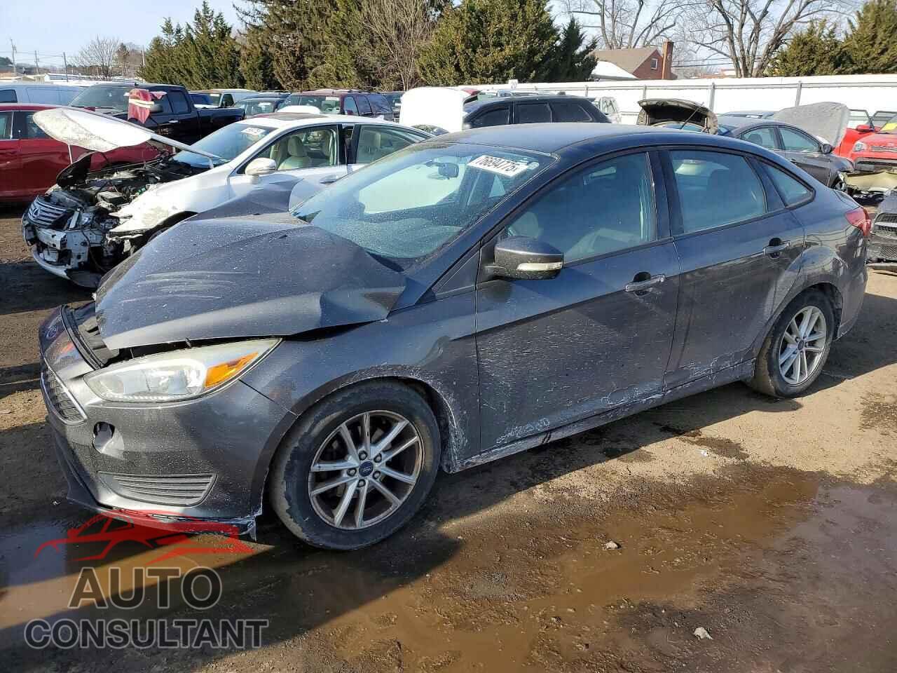 FORD FOCUS 2015 - 1FADP3F20FL263688