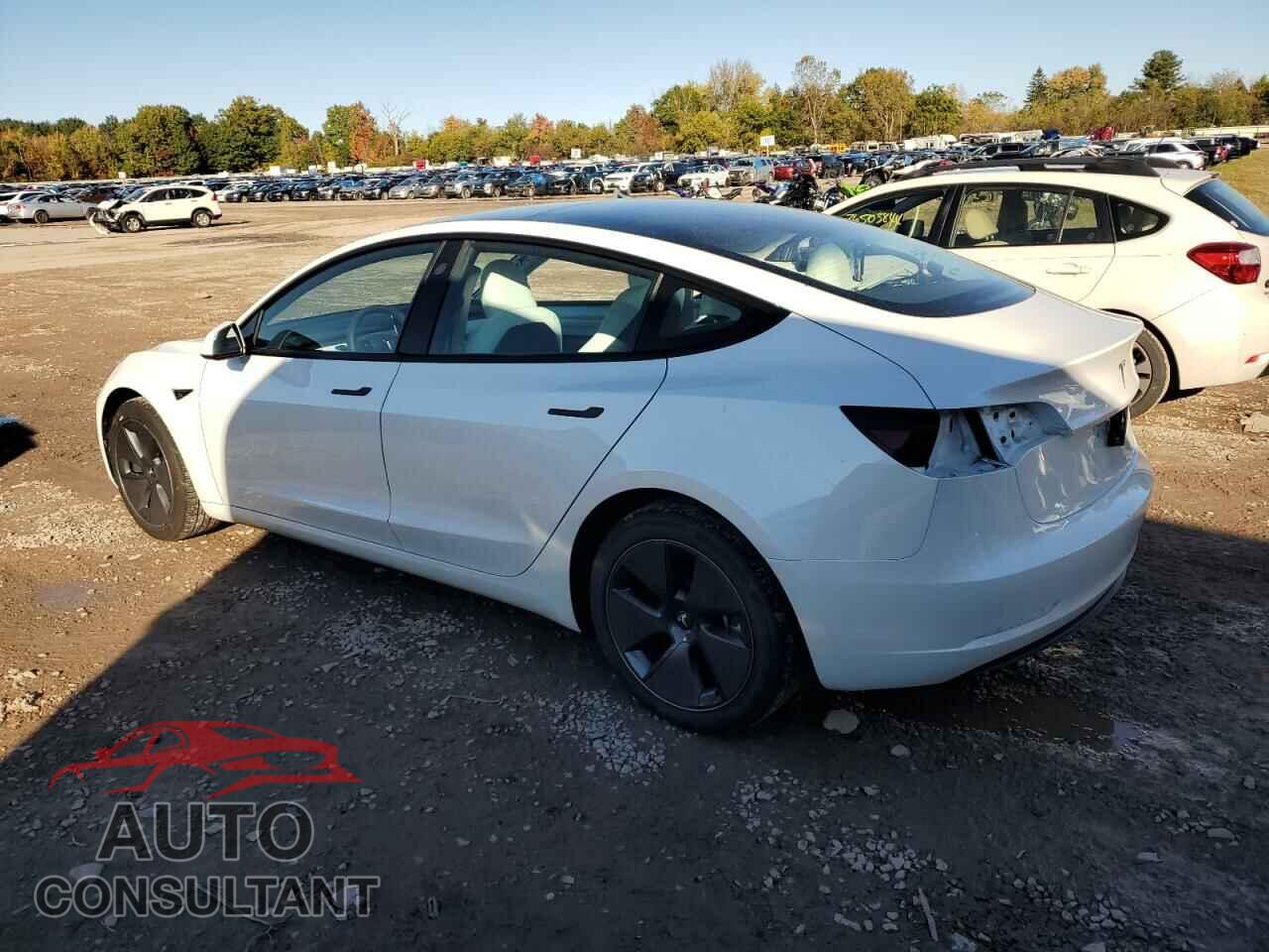 TESLA MODEL 3 2023 - 5YJ3E1EA2PF642186