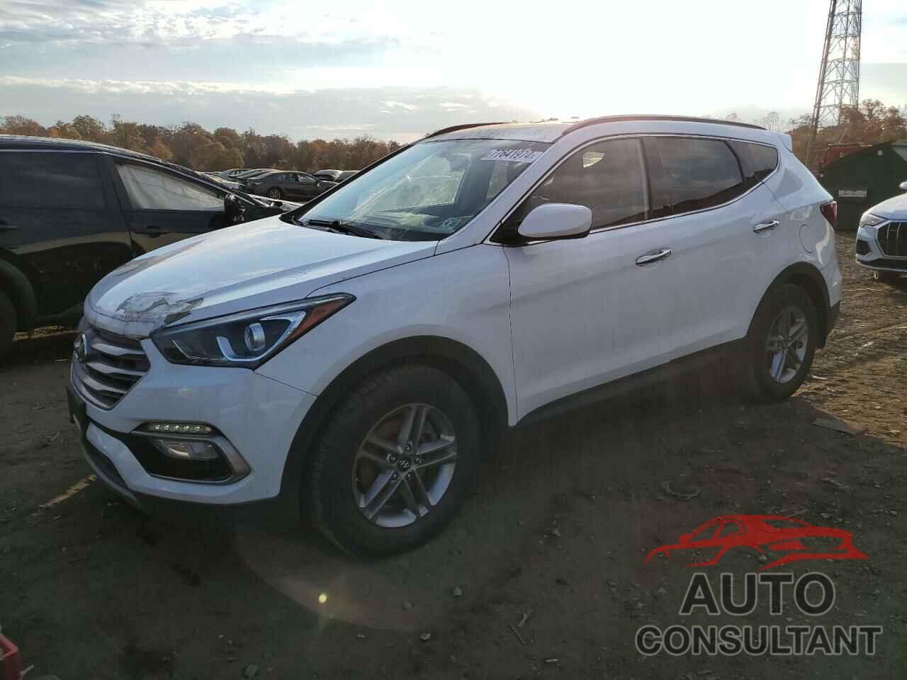 HYUNDAI SANTA FE 2017 - 5NMZUDLBXHH009137