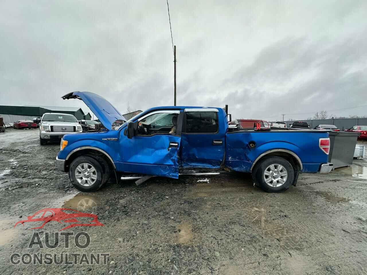 FORD F-150 2010 - 1FTFW1EV1AFD58497