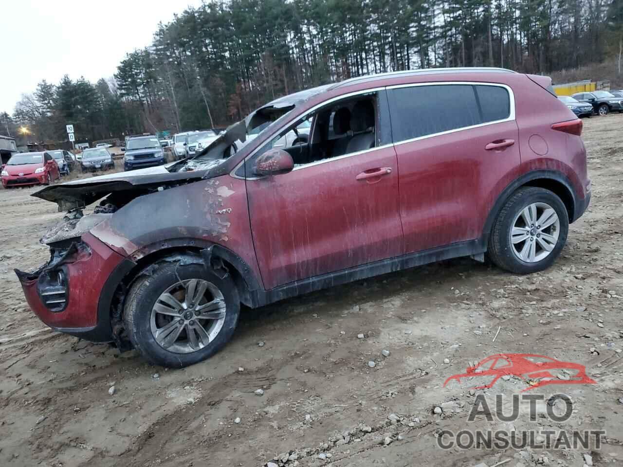 KIA SPORTAGE 2017 - KNDPMCAC7H7273517