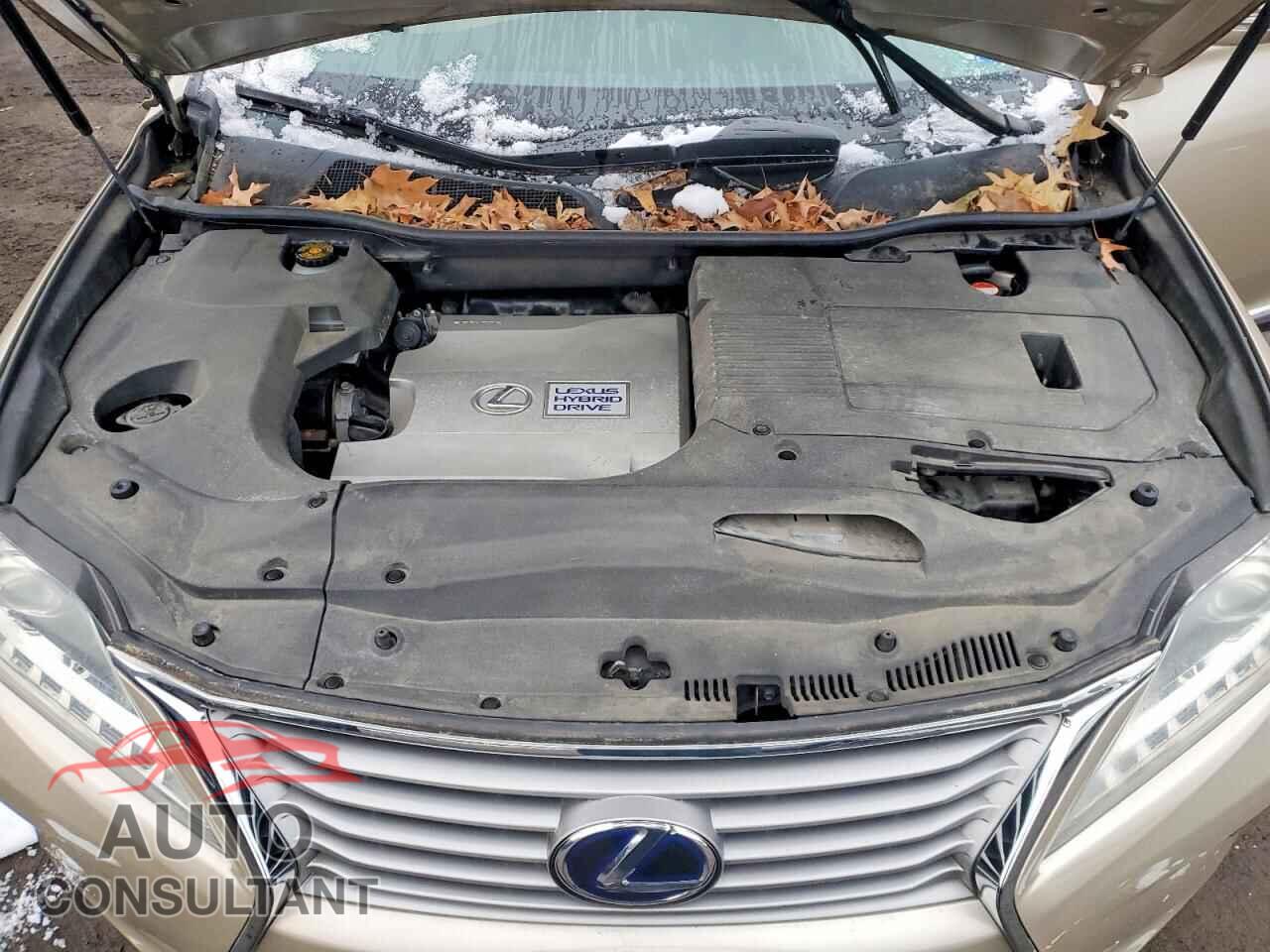 LEXUS RX 450H 2015 - 2T2BC1BA6FC006648