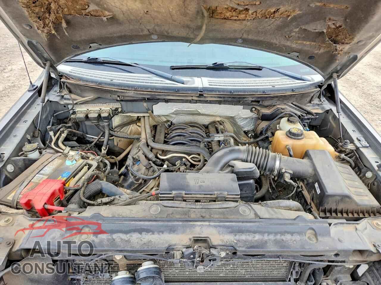 FORD F-150 2013 - 1FTFW1EF3DFA37915