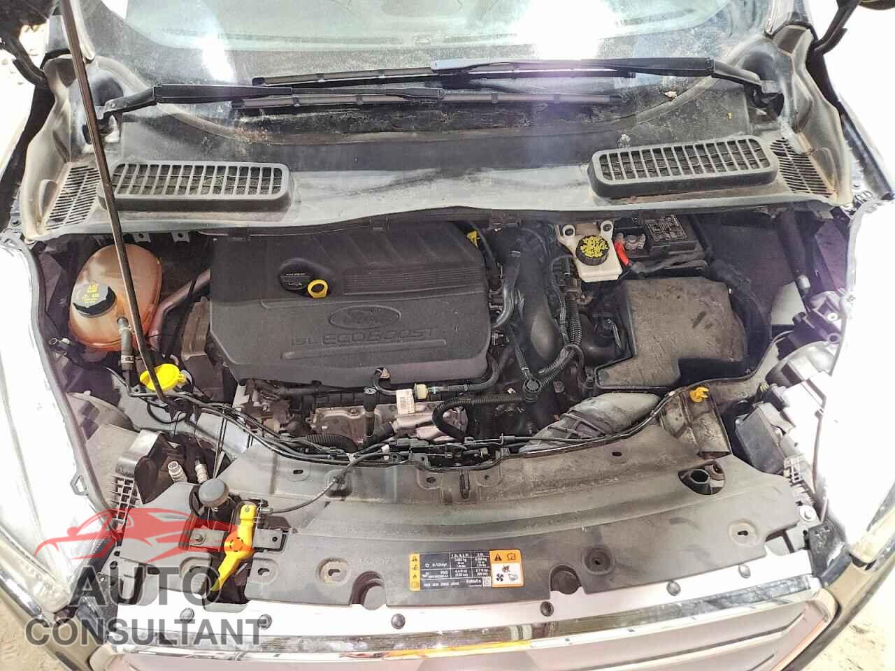 FORD ESCAPE 2017 - 1FMCU9GD2HUB15696