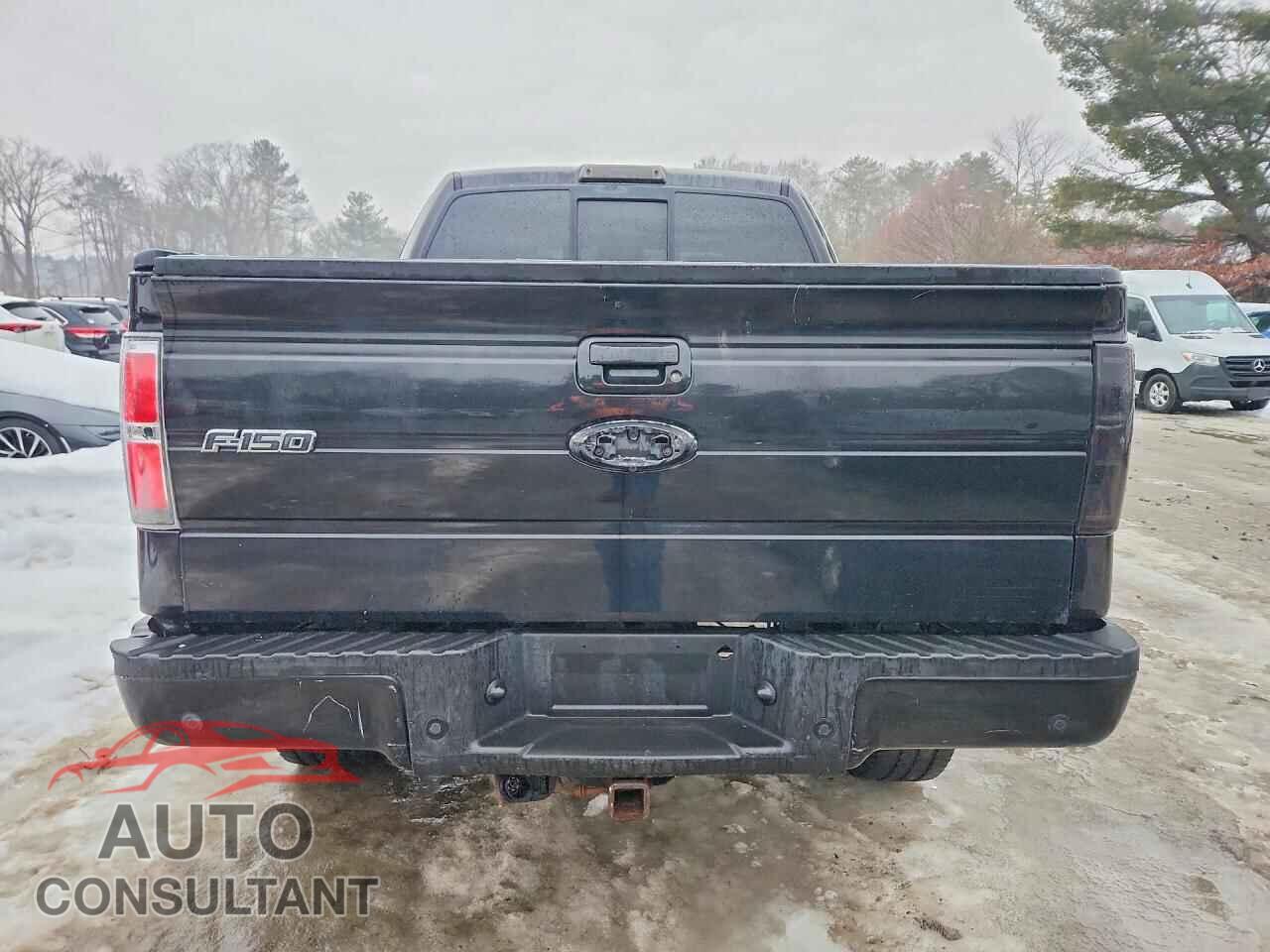 FORD F-150 2013 - 1FTFW1EF2DFB87868