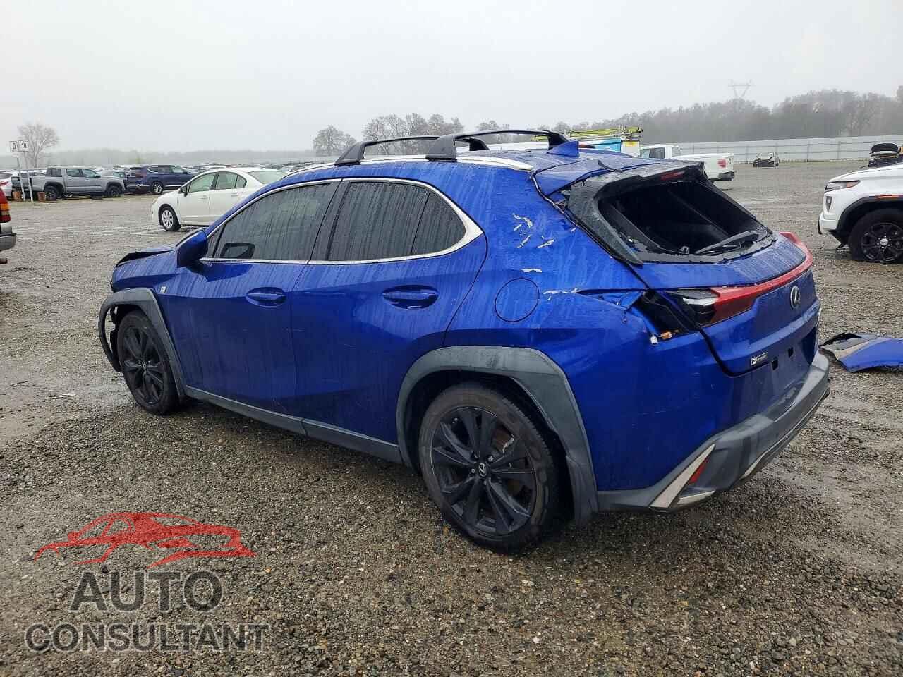 LEXUS ALL OTHER 2019 - JTHY3JBH8K2017377