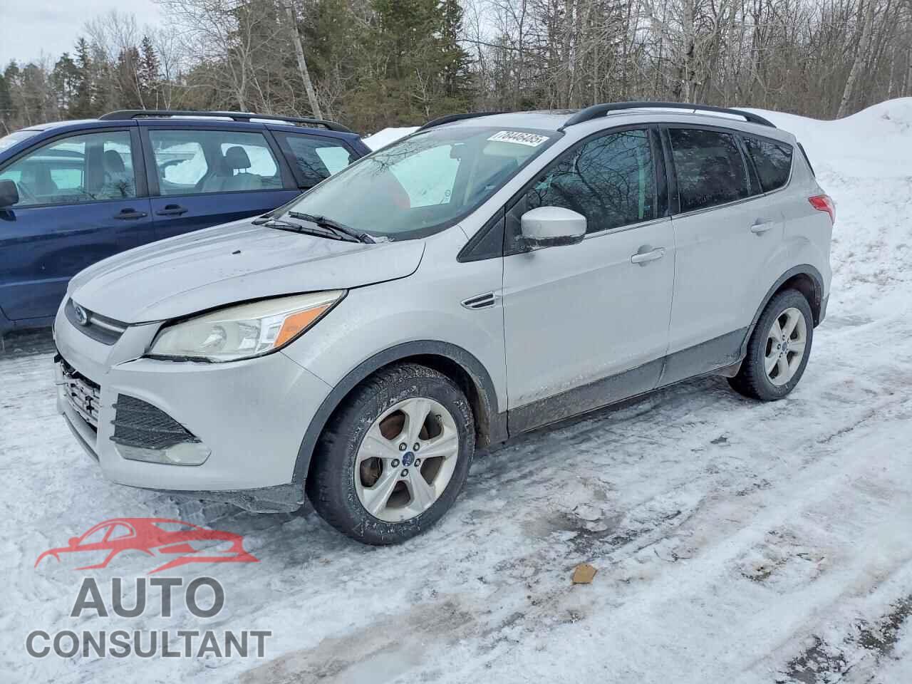 FORD ESCAPE 2014 - 1FMCU0GX6EUB18019