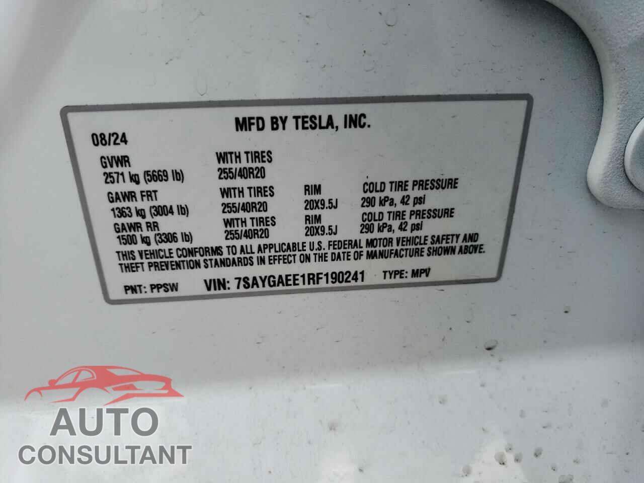 TESLA MODEL Y 2024 - 7SAYGAEE1RF190241