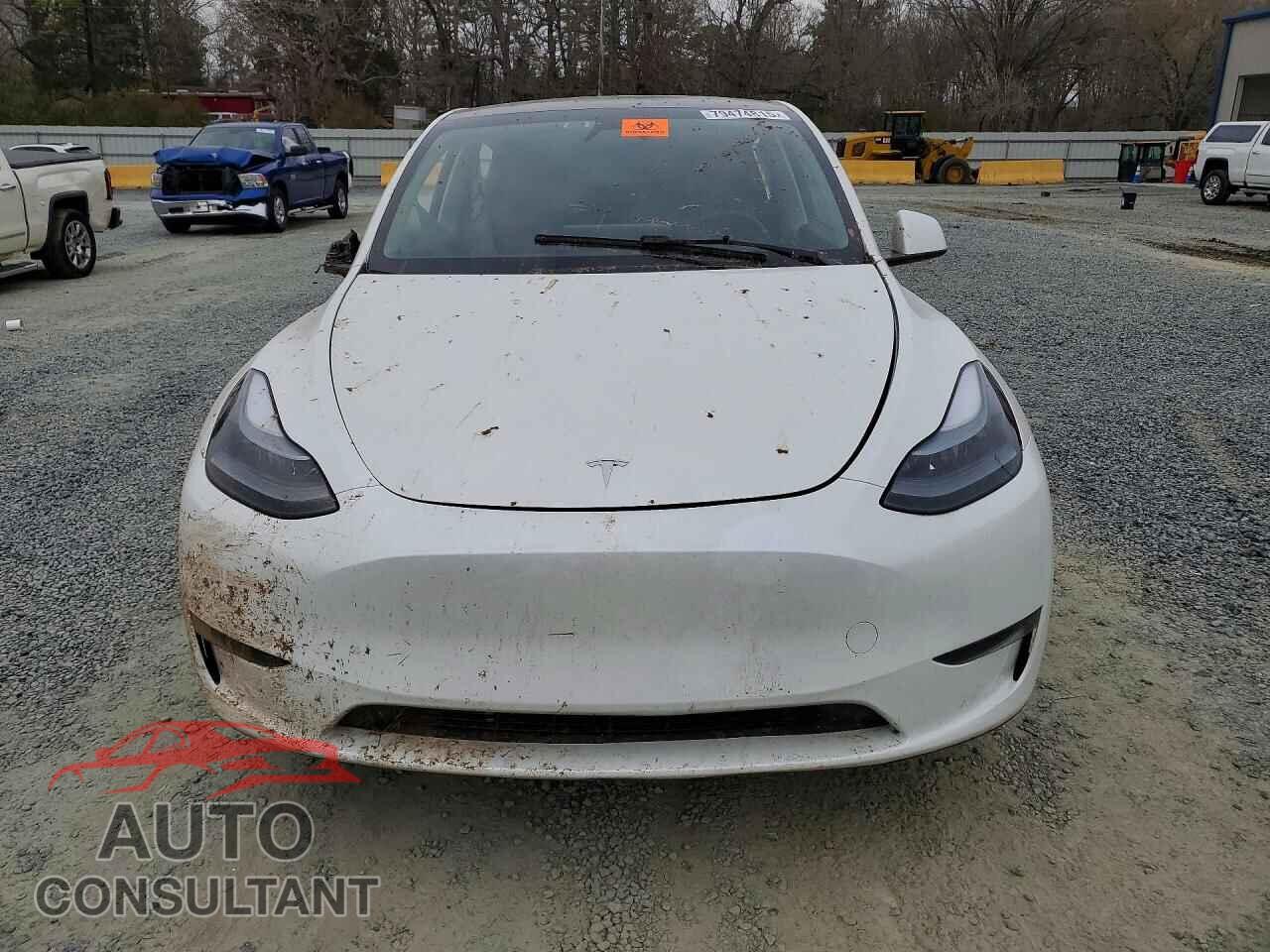TESLA MODEL Y 2024 - 7SAYGAEE8RF191631