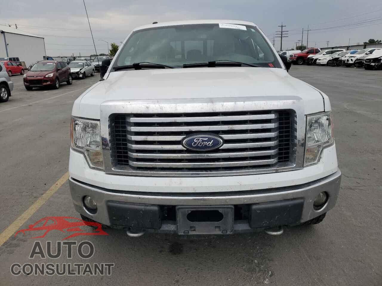 FORD F-150 2011 - 1FTFW1EF3BFD12857