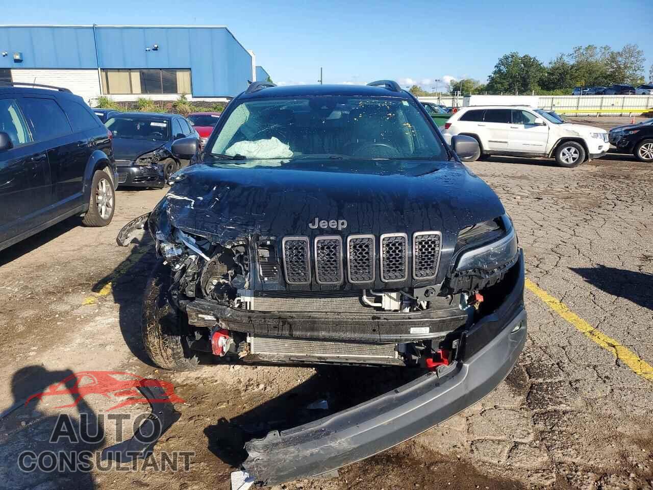 JEEP CHEROKEE 2019 - 1C4PJMBX2KD189100