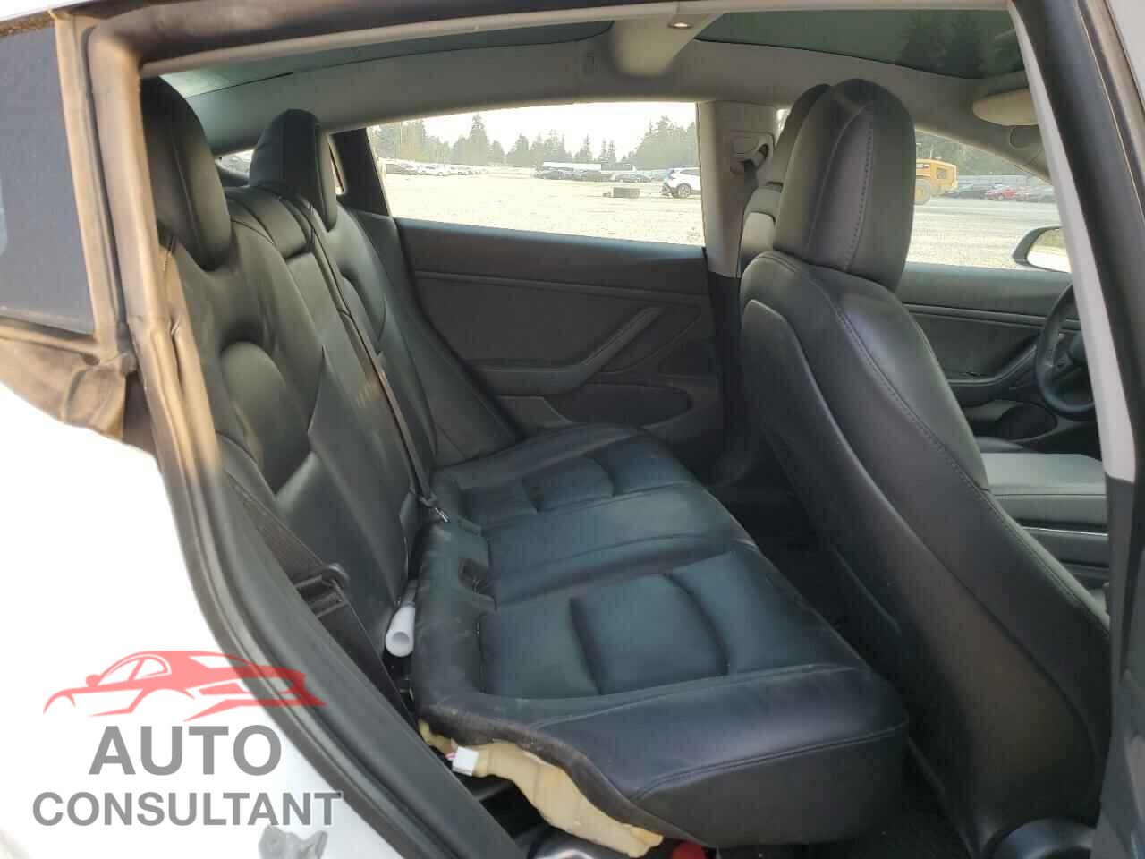 TESLA MODEL 3 2019 - 5YJ3E1EA2KF446497