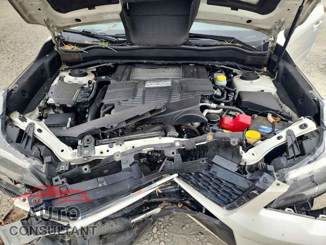 SUBARU FORESTER 2014 - JF2SJGPCXEH491301