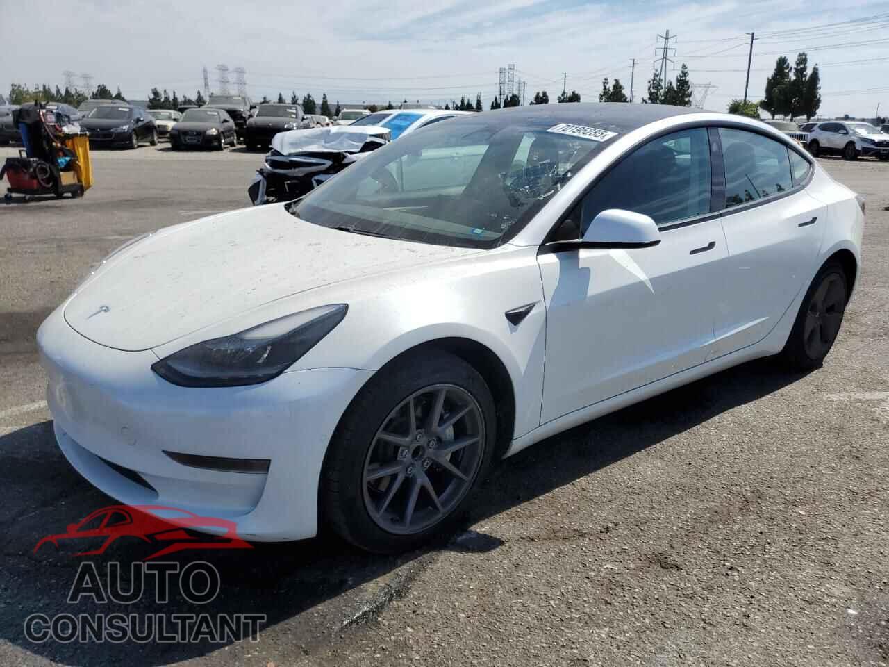 TESLA MODEL 3 2021 - 5YJ3E1EA7MF052206