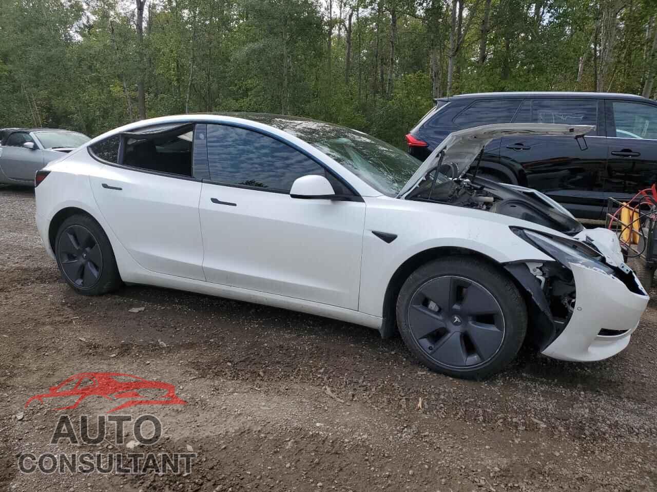 TESLA MODEL 3 2021 - 5YJ3E1EA2MF962605