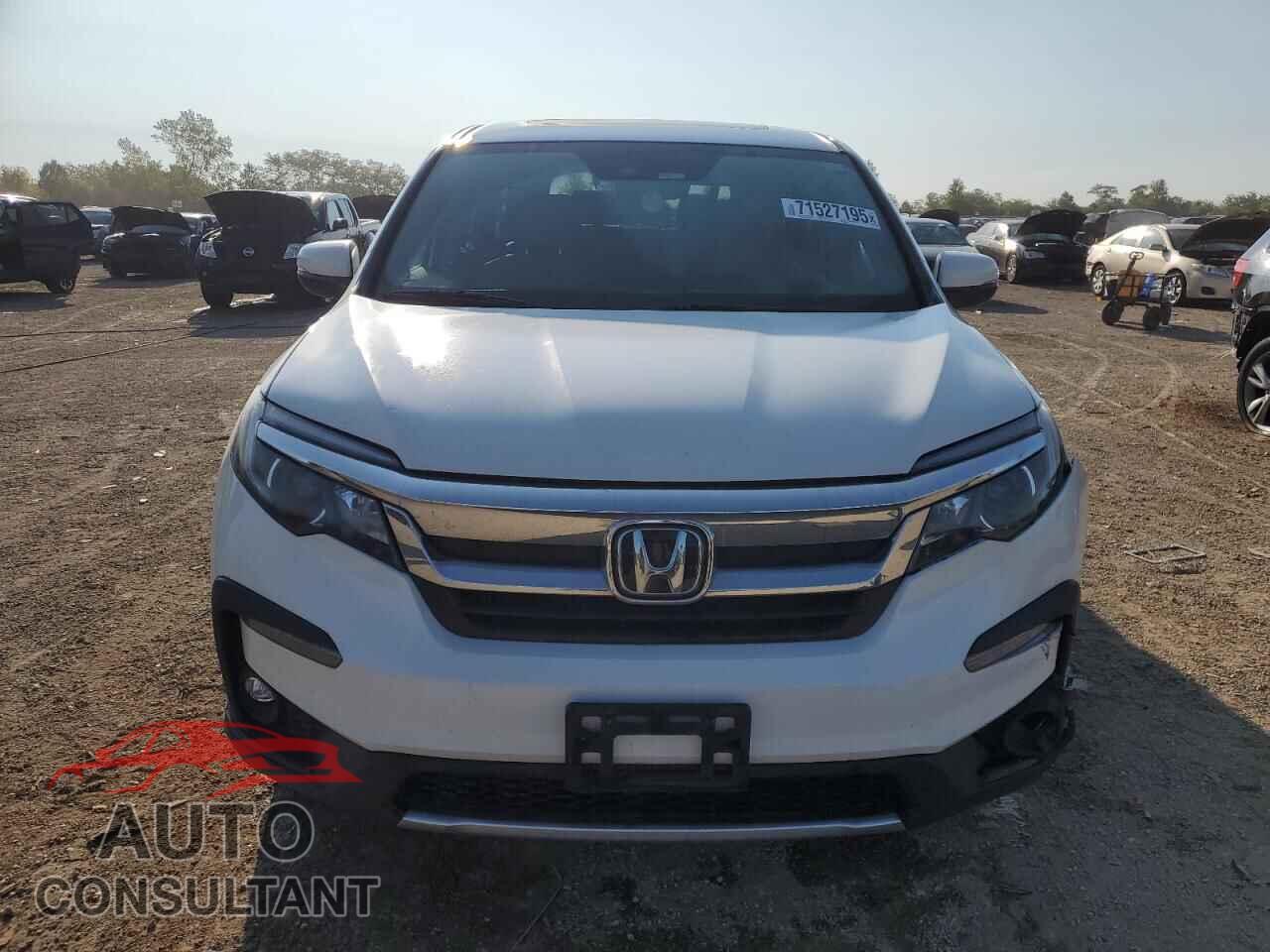 HONDA PILOT 2019 - 5FNYF6H59KB083453