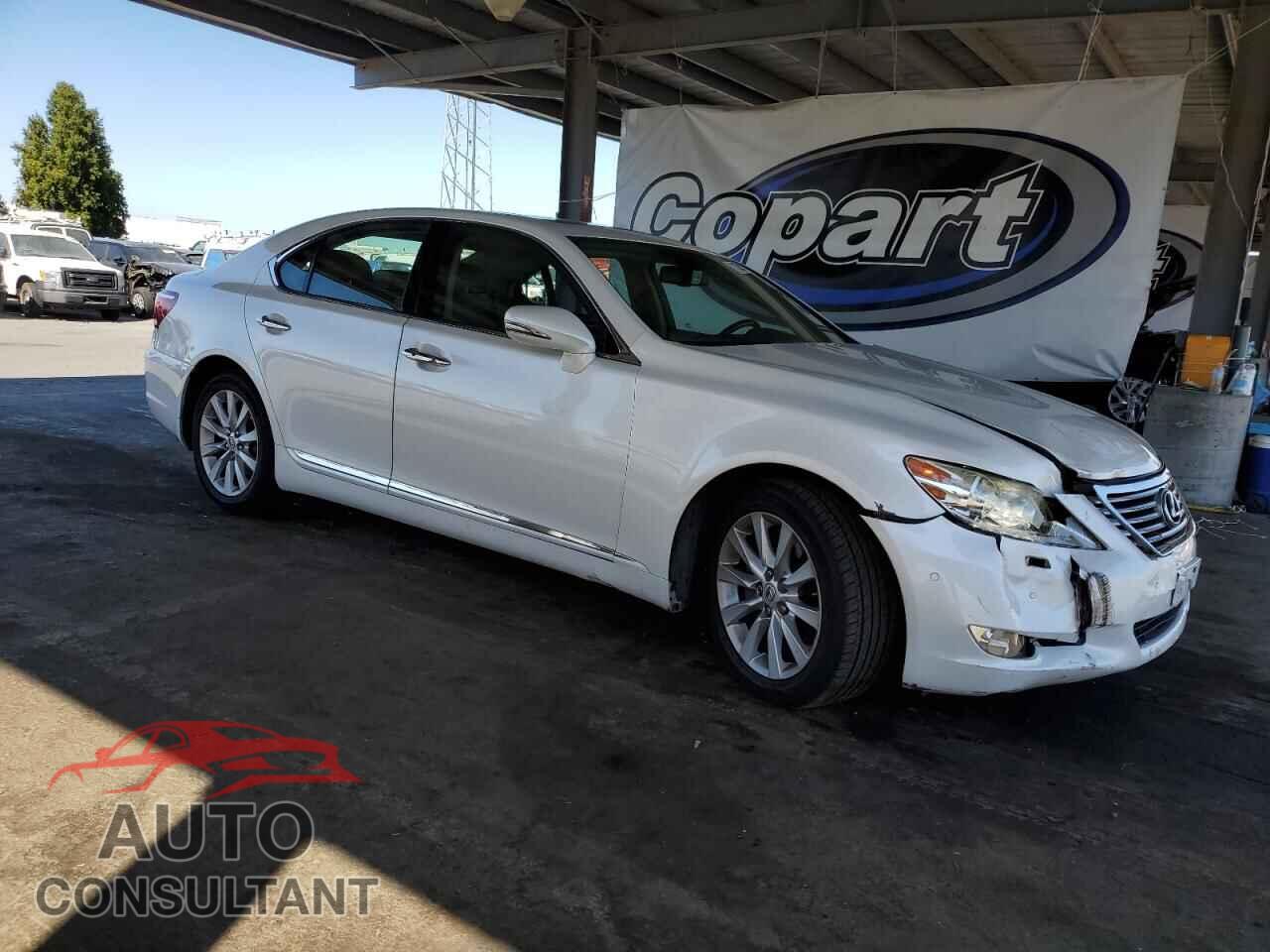 LEXUS LS460 2010 - JTHBL5EF9A5101552