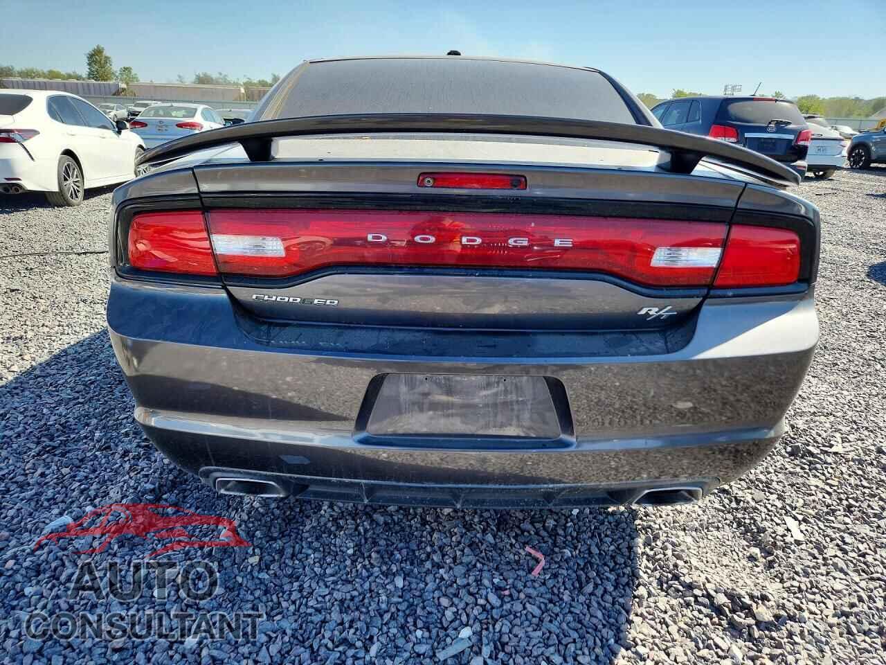 DODGE CHARGER 2014 - 2C3CDXCT1EH328549