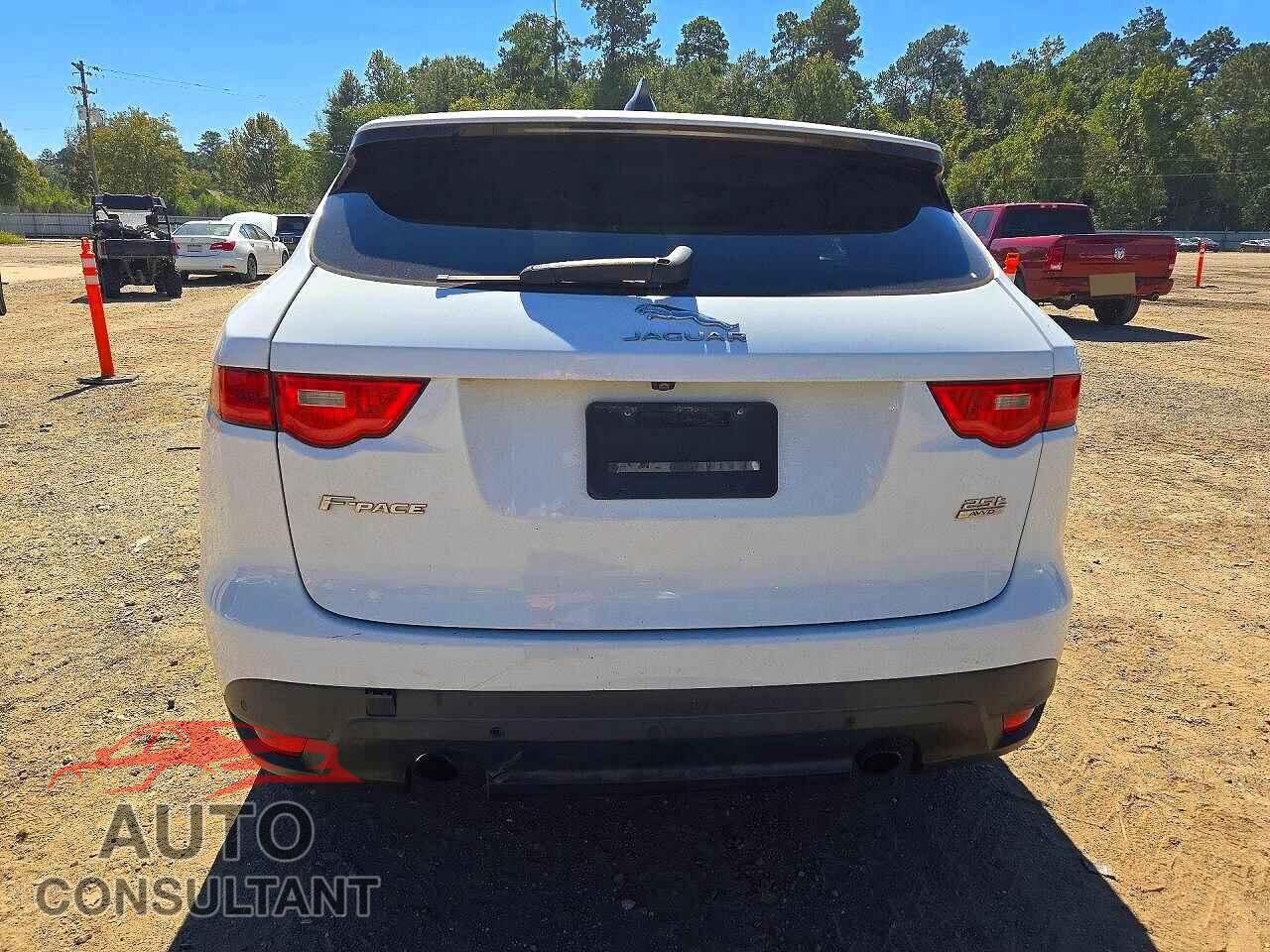 JAGUAR F-PACE 2020 - SADCJ2FX7LA643877
