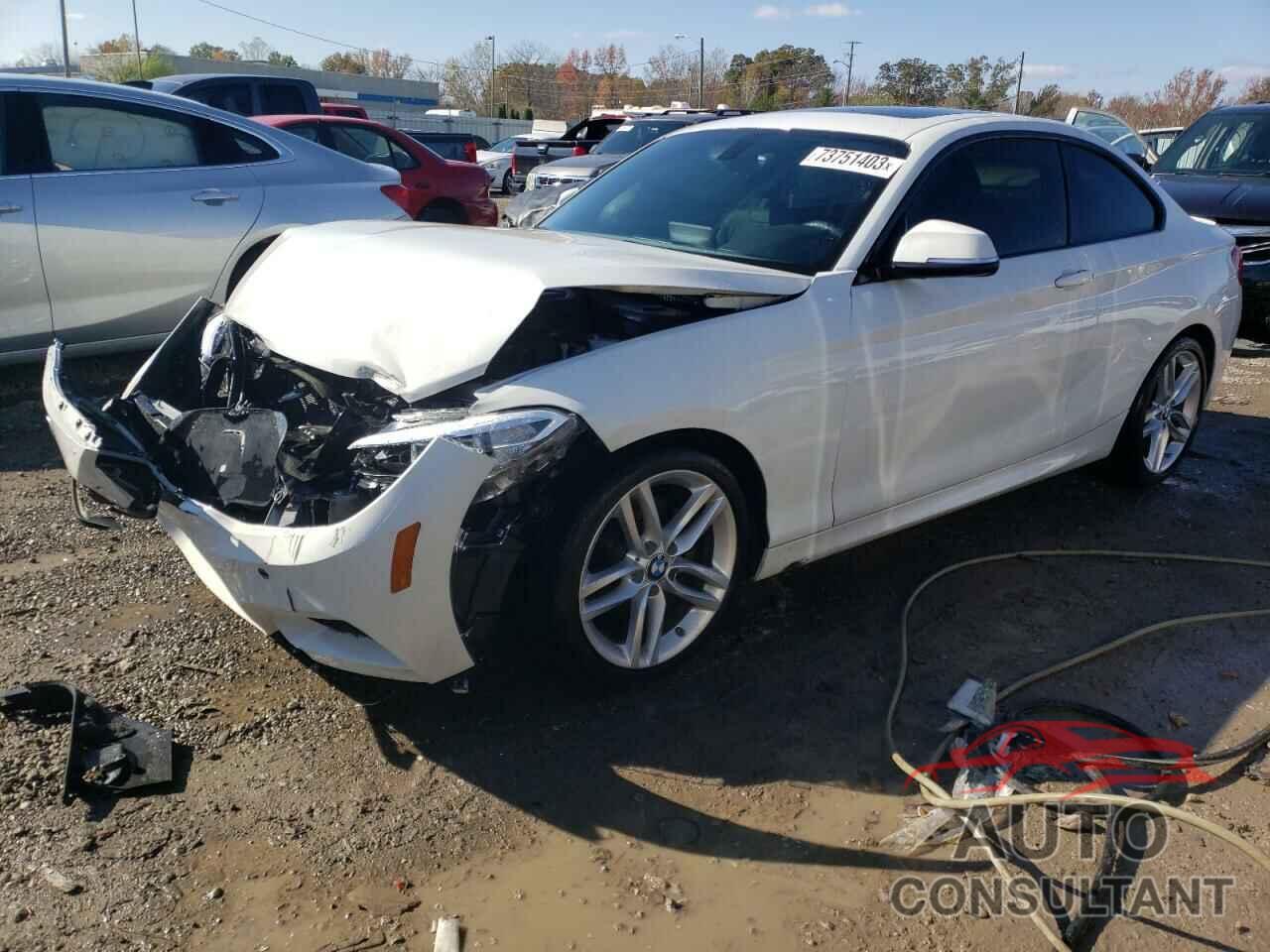 BMW 2 SERIES 2017 - WBA2F9C55HV664275