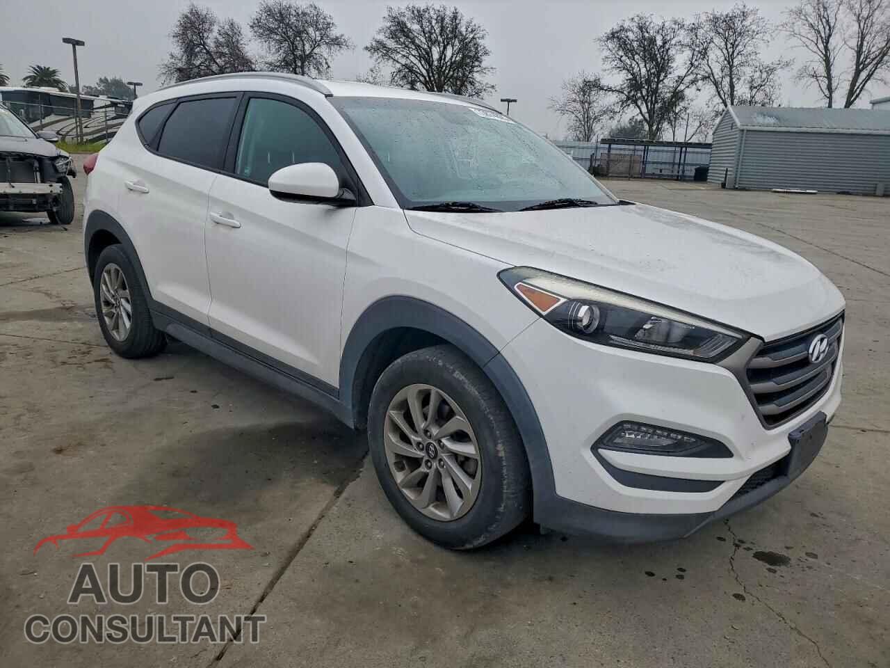 HYUNDAI TUCSON 2016 - KM8J33A49GU177501