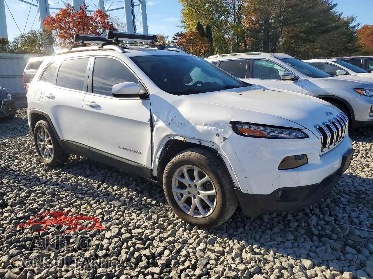 JEEP CHEROKEE 2014 - 1C4PJMCS2EW169344